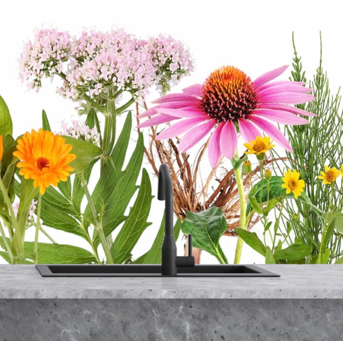 Painted kitchen glass splashbacks #1049