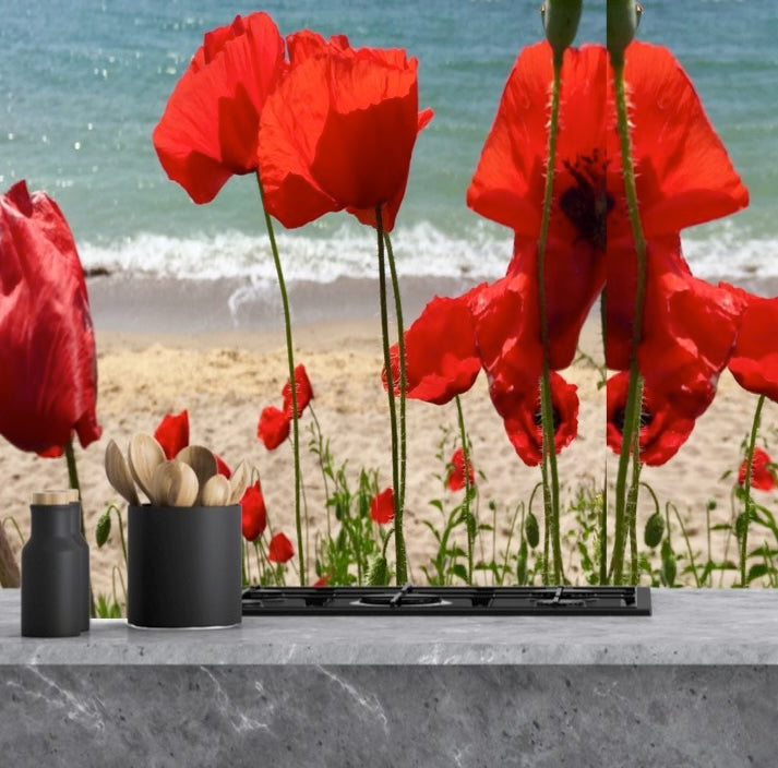 Painted glass kitchen splashbacks #1051