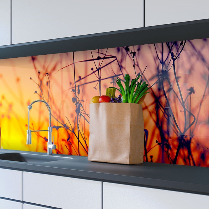 Printed glass kitchen splashbacks #3031