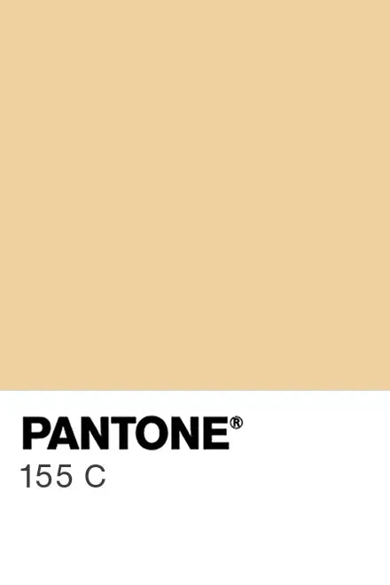 Painted kitchen glass splashbacks #155