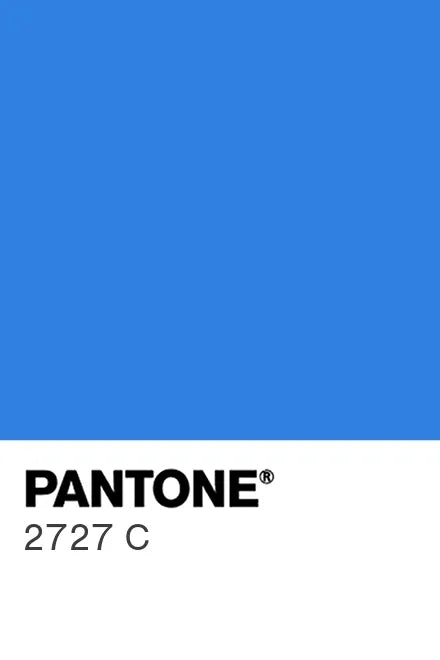 Painted kitchen glass splashback #P2727