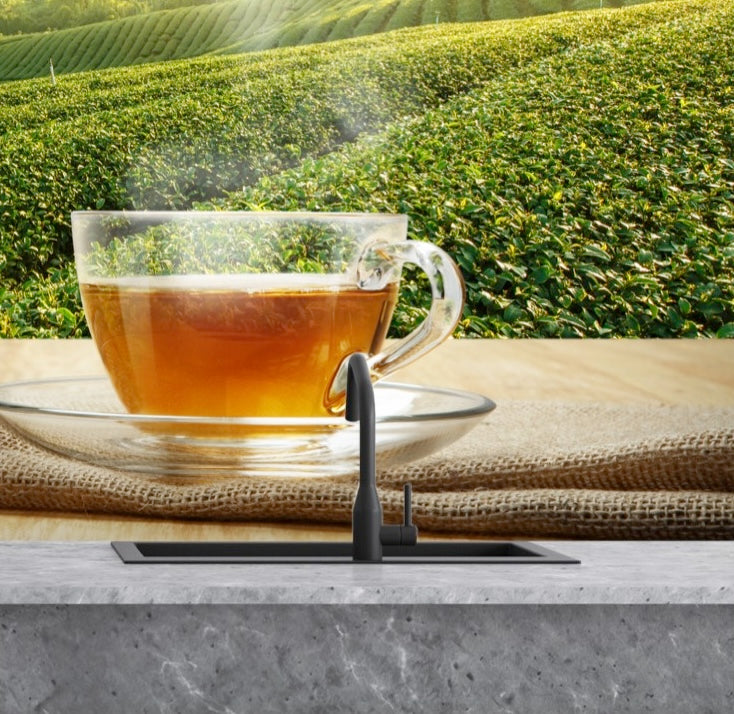 Printed glass kitchen splashback #1009