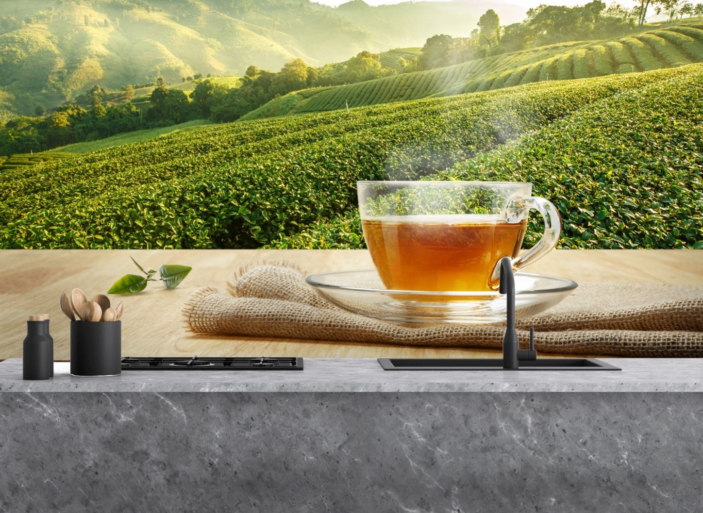 Printed glass kitchen splashback #1009