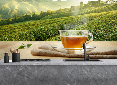 Printed glass kitchen splashback #1009