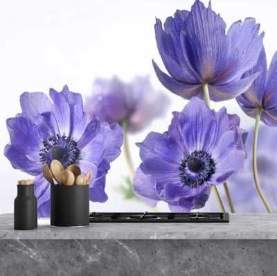 Painted kitchen glass splashbacks #1048