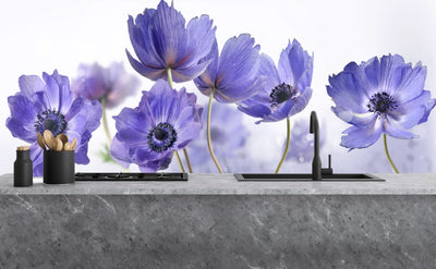 Painted kitchen glass splashbacks #1048