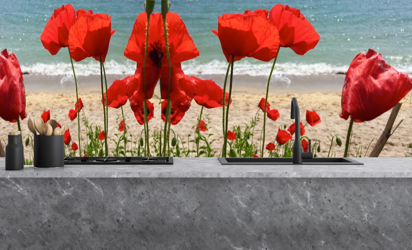 Painted glass kitchen splashbacks #1051
