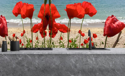 Painted glass kitchen splashbacks #1051