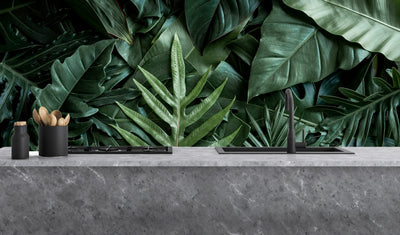 Painted glass kitchen splashbacks #1204