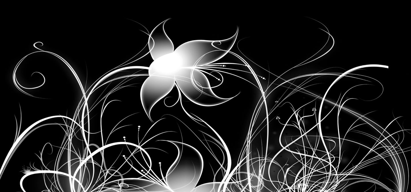 Printed glass kitchen splashback #1701