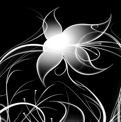 Printed glass kitchen splashback #1701