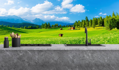 Printed glass kitchen splashback #1701