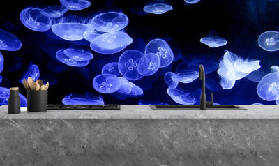 Printed glass kitchen splashback #1702