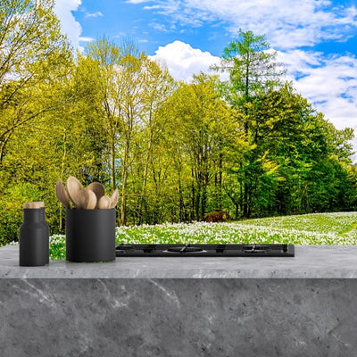 Printed glass kitchen splashbacks #1705