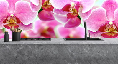 Painted glass kitchen splashbacks  #1857