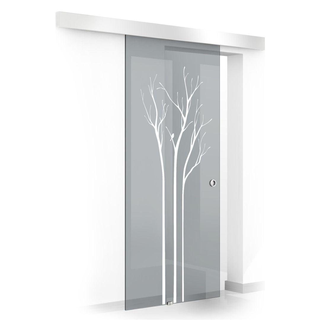 Sliding glass door, interior Glass door #Grey