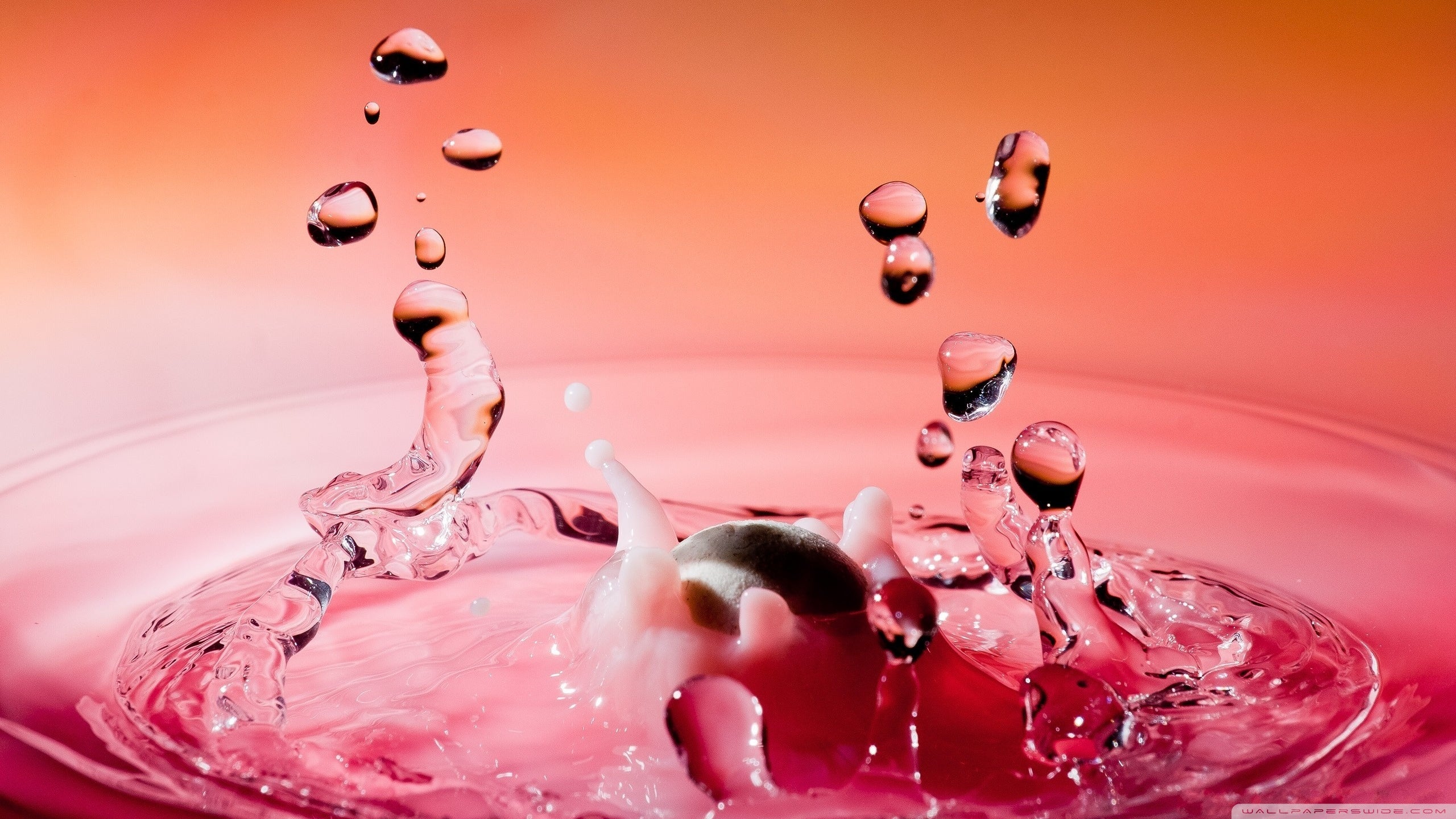Printed glass kitchen splashback #3009