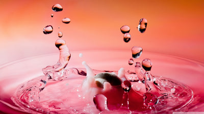 Printed glass kitchen splashback #3009
