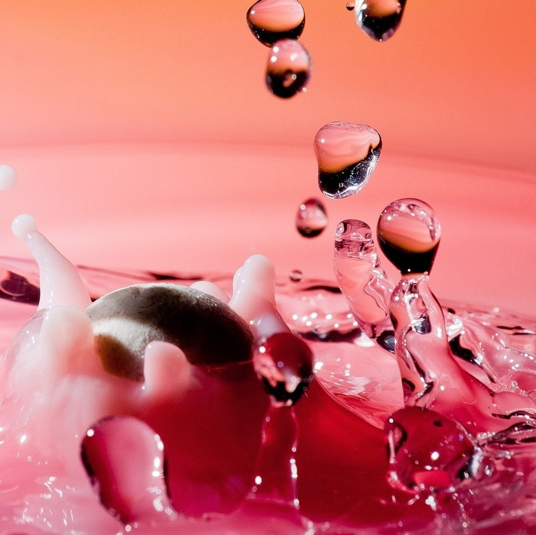 Printed glass kitchen splashback #3009