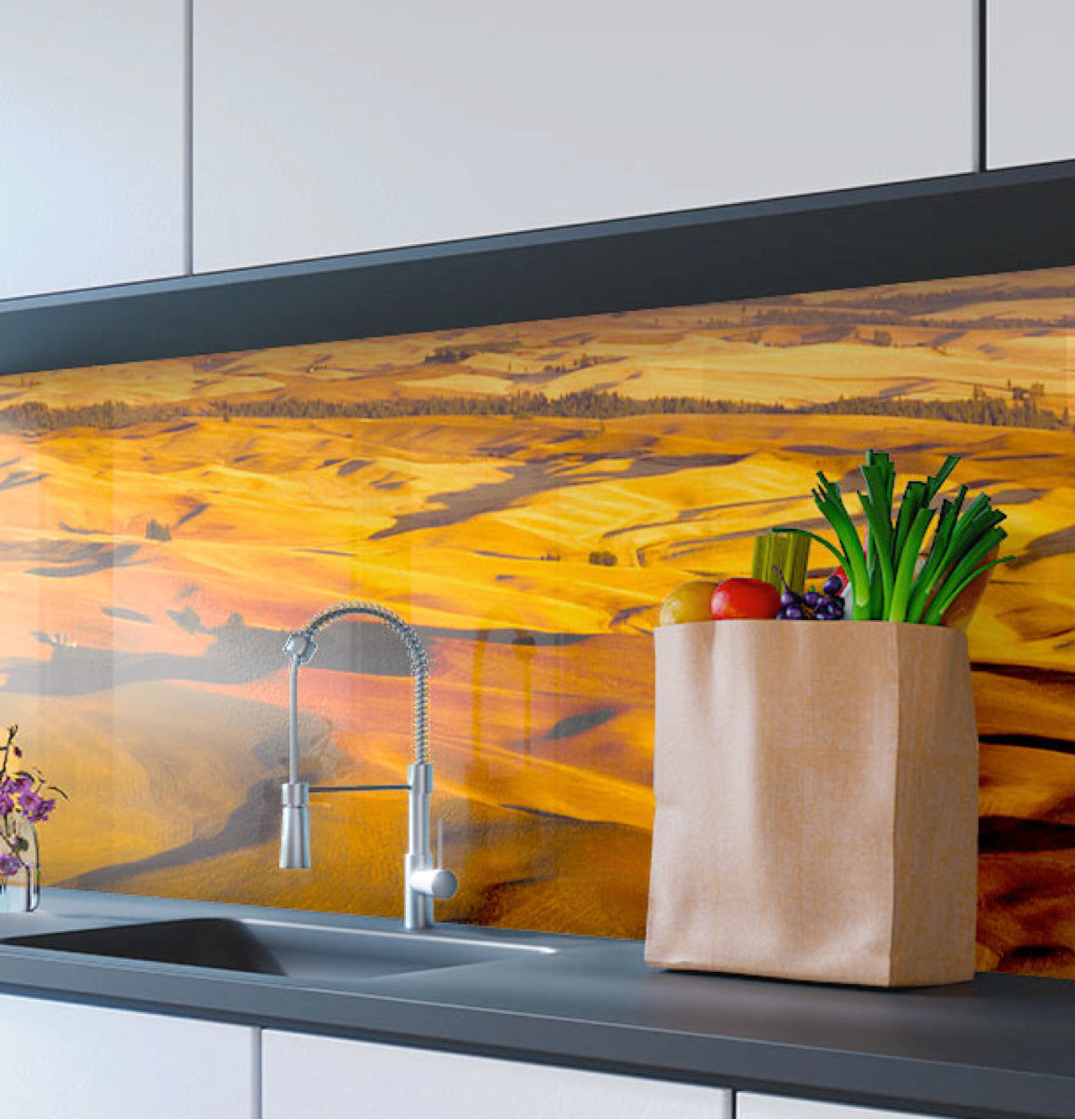Printed glass kitchen splashbacks #3030
