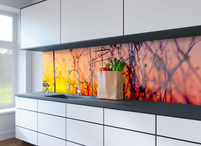 Printed glass kitchen splashbacks #3031