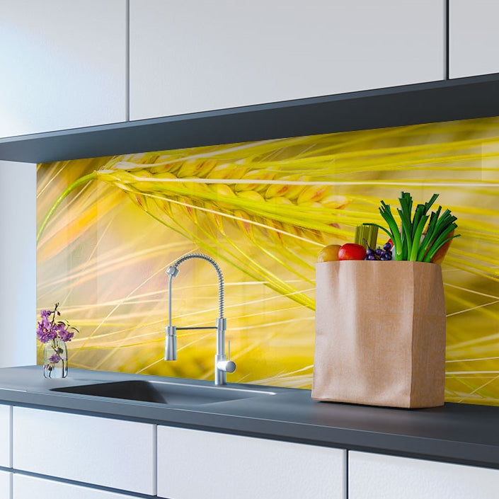 Printed glass kitchen splashbacks #3033