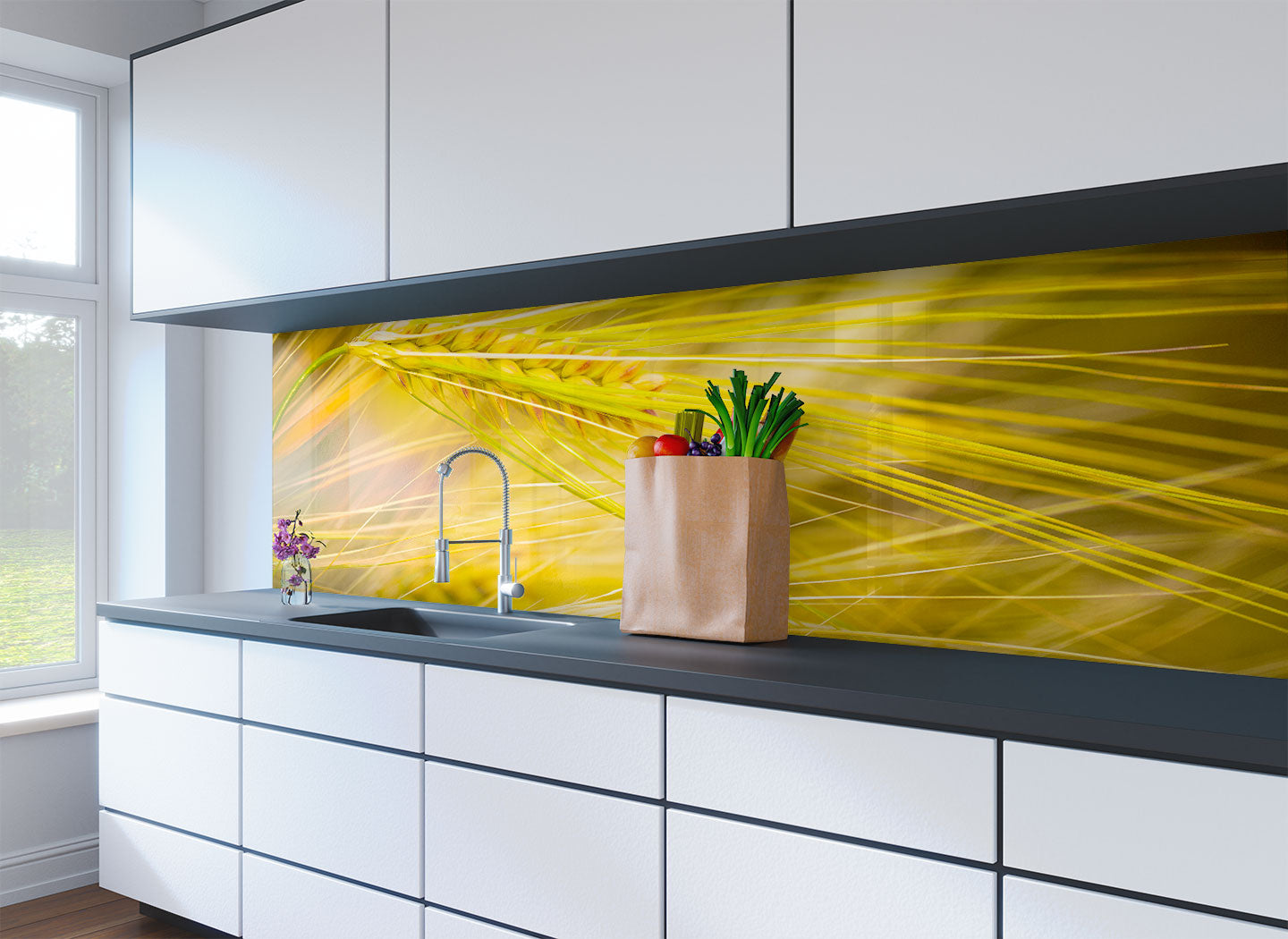 Printed glass kitchen splashbacks #3033