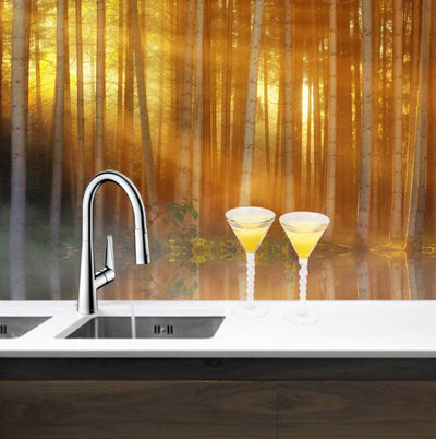 Printed glass kitchen splashback #3037