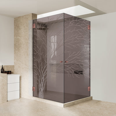 Shower enclosure with hinged door #Bronze