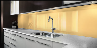 Painted kitchen glass splashbacks #1345