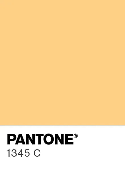 Painted kitchen glass splashbacks #1345