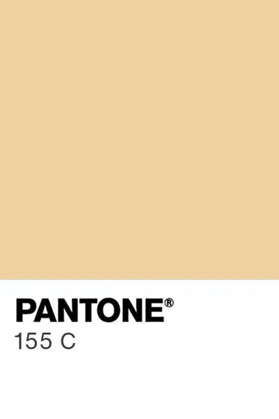 Painted kitchen glass splashbacks #155
