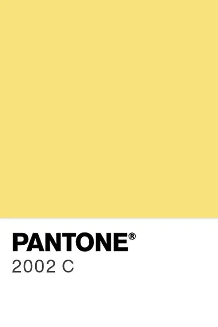 Painted glass kitchen splashbacks #2002