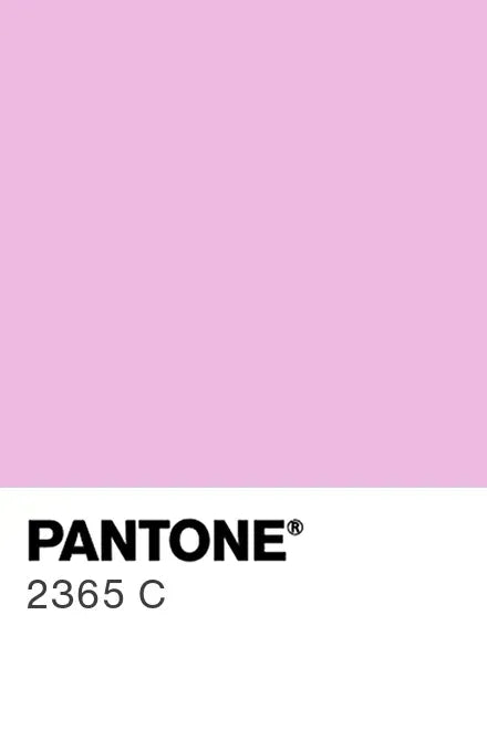 Painted glass kitchen splashbacks #2365