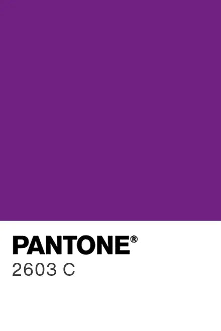 Painted glass kitchen splashbacks #2603