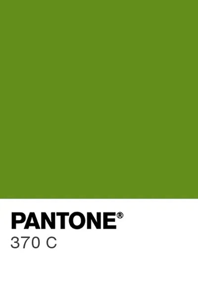 Painted glass kitchen splashbacks #P370