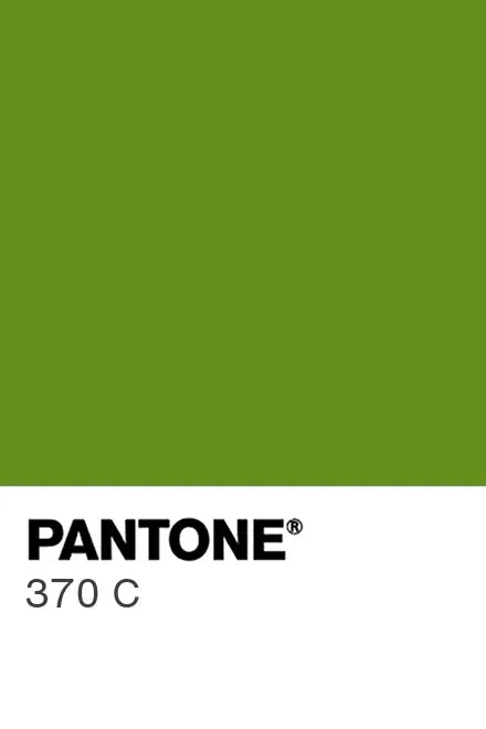 Painted glass kitchen splashbacks #P370