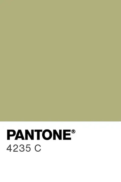 Painted glass kitchen splashback #P4235