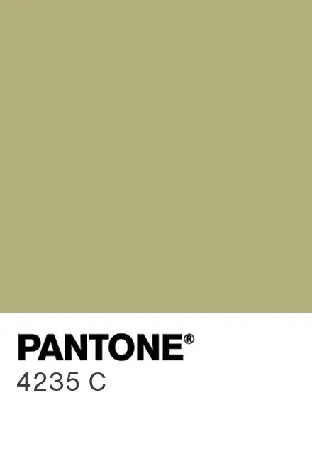 Painted glass kitchen splashback #P4235