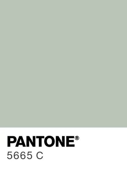 Painted glass kitchen splashbacks #P5665