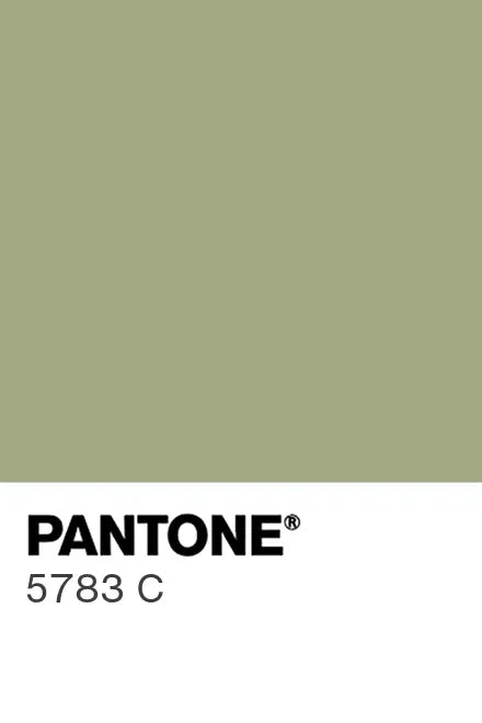 Painted glass kitchen splashback #P5783