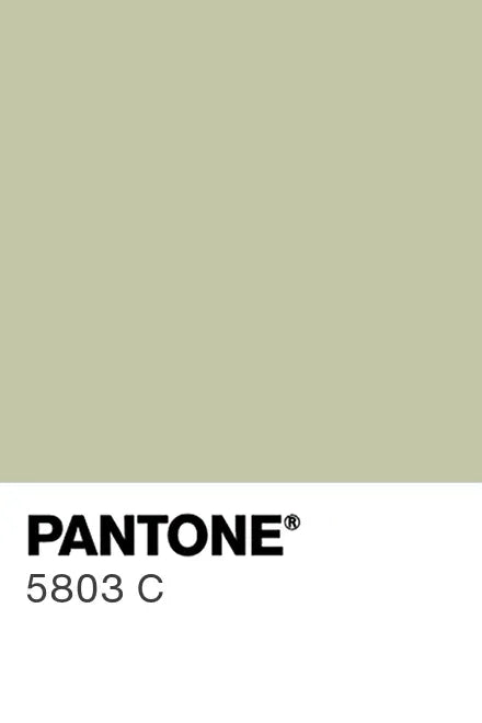 Painted glass kitchen splashback #P5803