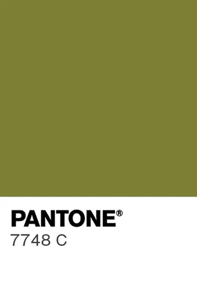 Painted glass kitchen splashback #P7748