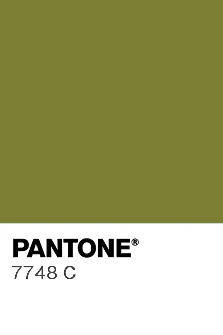 Painted glass kitchen splashback #P7748