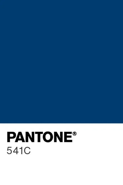 Painted kitchen glass splashback #P541