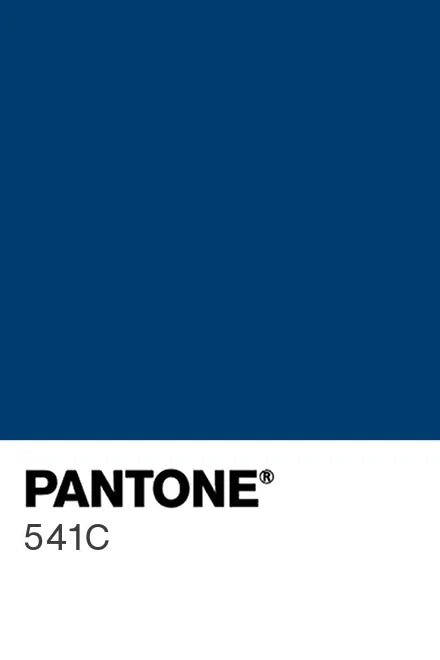 Painted kitchen glass splashback #P541