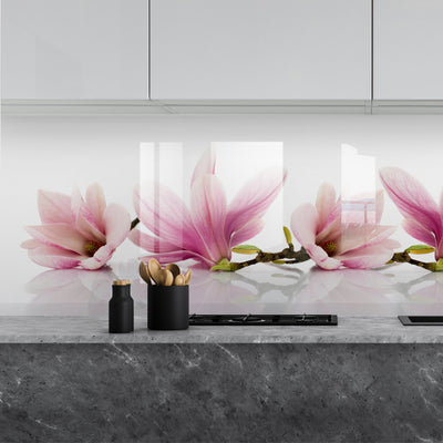 Painted kitchen glass cladding