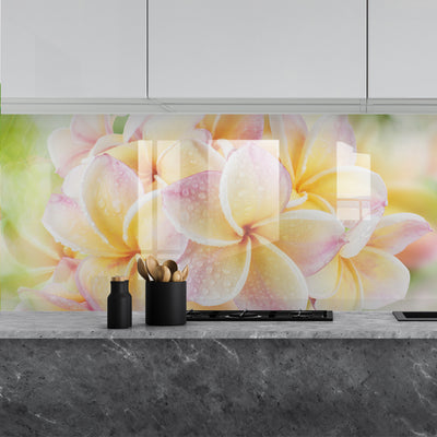 Painted kitchen glass cladding