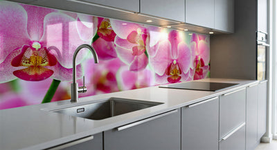 Painted kitchen glass cladding #600