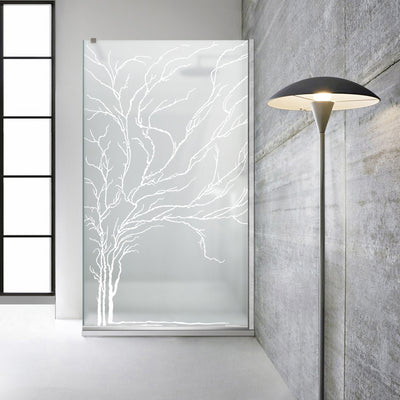 Paravan dus Walk-in, Perete dus  Inox, #Mata